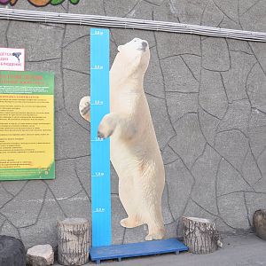 Measuring growth with polar bear
