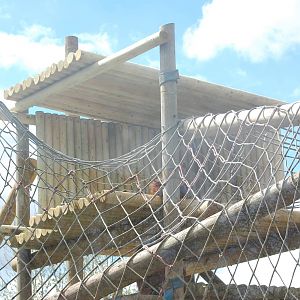 Refurbished Orangutan outside enclosure - 05/05/2013