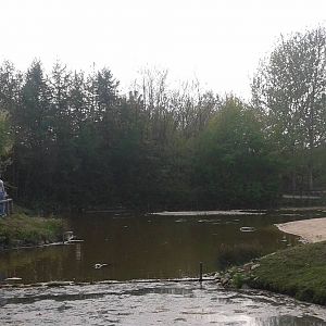 Harbour seal enclosure