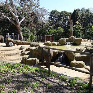 view of the "Bull" paddock