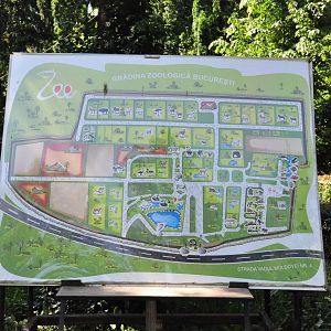 Map of the zoo