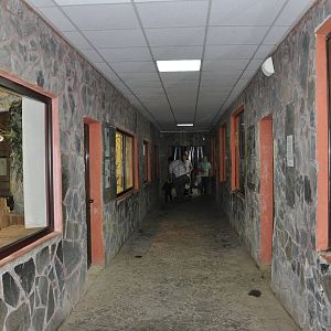 Small mammals House. Indoor view