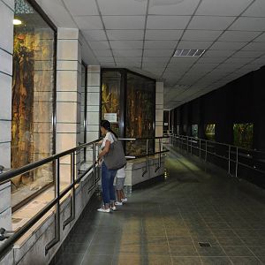 Reptile house. Indoor view