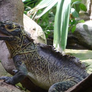 zoo_trip_with_papa_141