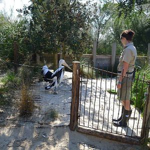 the entrance to Wild Seas exihibit