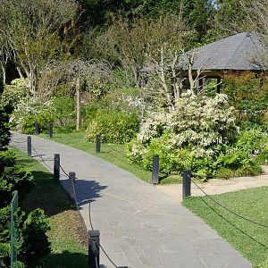 Japanese Gardens
