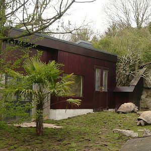 Giant Tortoise enclosure