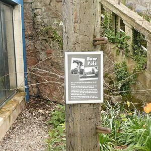Bear Pole outside Aquarium