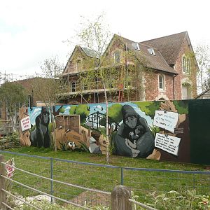 Work on Gorilla House