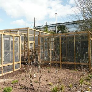 Amazing Animals enclosures