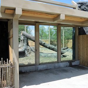 Wild Life Trek - Grizzly bear habitat