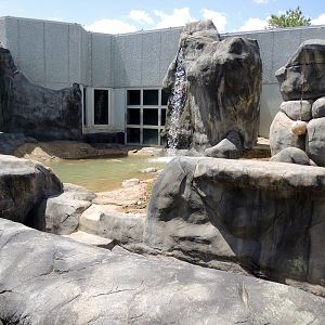 Wild Life Trek - Grizzly bear habitat