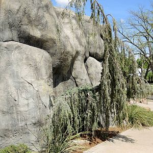 Wild Life Trek - Life in the Cold