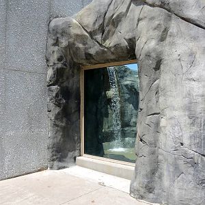 Wild Life Trek - Life in the Cold