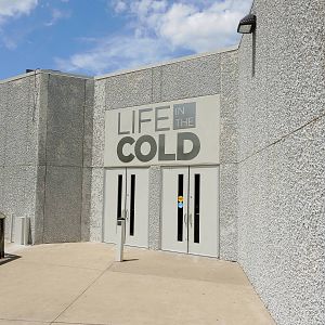 Wild Life Trek - Life in the Cold