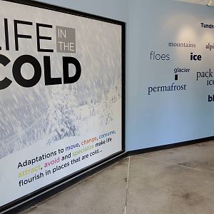 Wild Life Trek - Life in the Cold