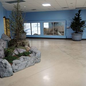 Wild Life Trek - Life in the Cold