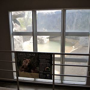 Wild Life Trek - Life in the Cold