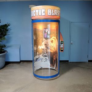 Wild Life Trek - Life in the Cold