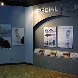 Wild Life Trek - Life in the Cold