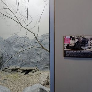 Wild Life Trek - Life in the Cold