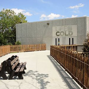 Wild Life Trek - Life in the Cold