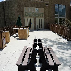 Wild Life Trek - Life in the Desert