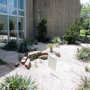 Wild Life Trek - Life in the Desert