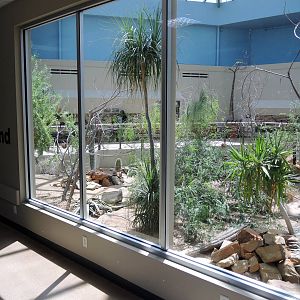 Wild Life Trek - Life in the Desert