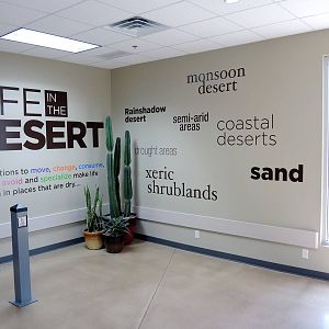 Wild Life Trek - Life in the Desert