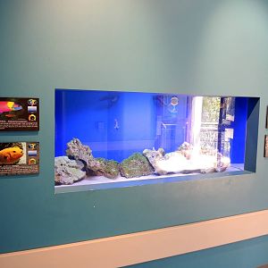 Wild Life Trek - Life in the Desert