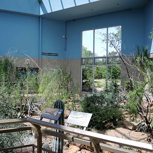 Wild Life Trek - Life in the Desert