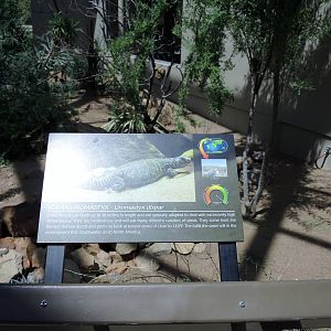 Wild Life Trek - Life in the Desert