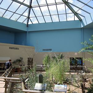 Wild Life Trek - Life in the Desert