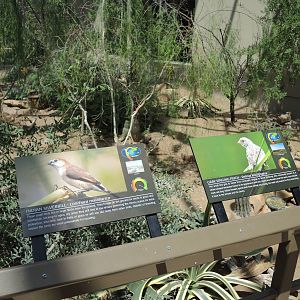 Wild Life Trek - Life in the Desert