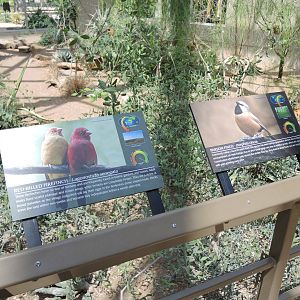 Wild Life Trek - Life in the Desert