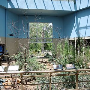 Wild Life Trek - Life in the Desert