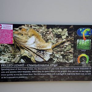 Wild Life Trek - Life in the Desert