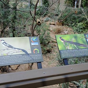 Wild Life Trek - Life in the Desert