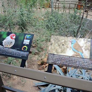 Wild Life Trek - Life in the Desert