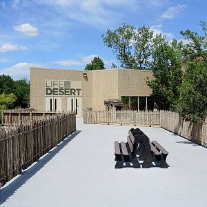 Wild Life Trek - Life in the Desert