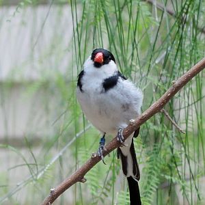 Wild Life Trek - Life in the Desert