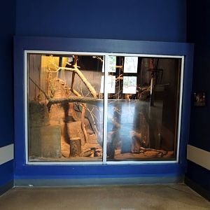 Wild Life Trek - Life in the Desert