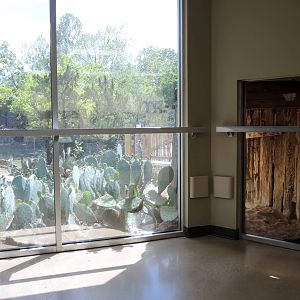 Wild Life Trek - Life in the Desert