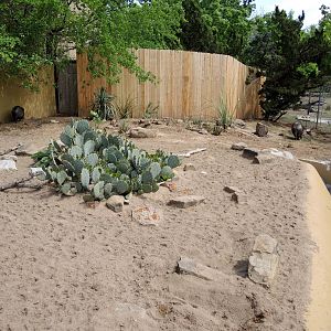 Wild Life Trek - Life in the Desert