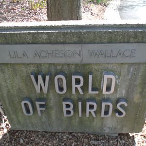 World of Birds