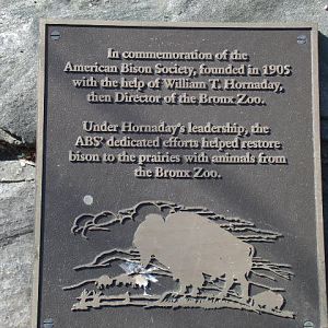 American Bison Society