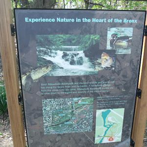 Mitsubishi Riverwalk