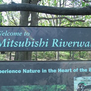 Mitsubishi Riverwalk