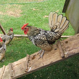 Private Collection owned by Christopher Marler